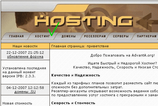 Главная страница хостинга Advanta.org
